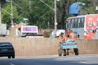 Carroças estarão proibidas em 2026 -  (crédito:  Gladyston Rodrigues/EM/D.A Press)
