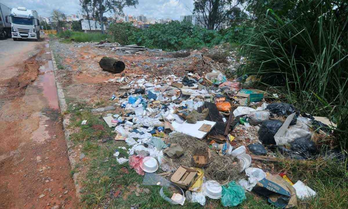 Bota-fora em bairro da capital: Ao lado de alterações climáticas, fatores sociais e urbanísticos aumentam o risco de arboviroses -  (crédito: Leandro Couri /EM/D.A Press)