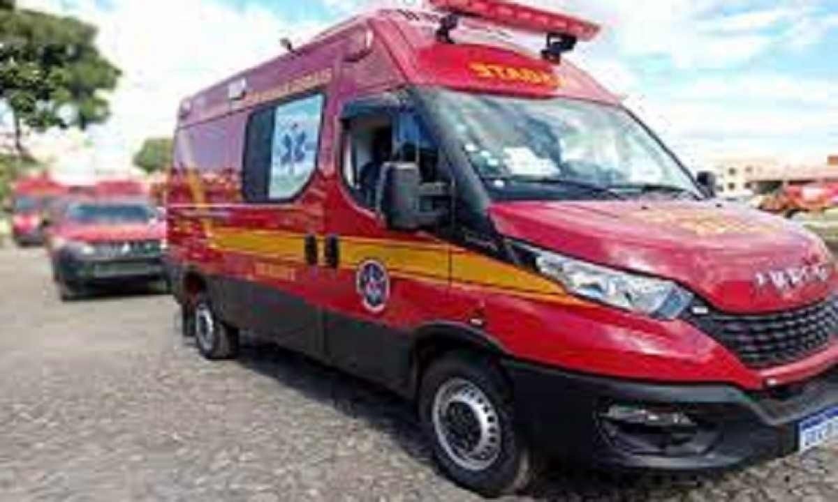 Resgate foi feito pelo Corpo de Bombeiros -  (crédito: CBMMG)