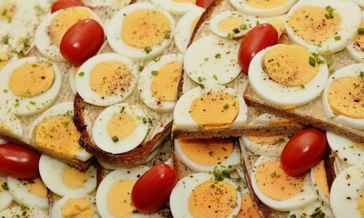 O perfil nutricional do ovo é notável e desempenha um papel vital no fornecimento de nutrientes essenciais -  (crédito:  congerdesign/Pixabay)