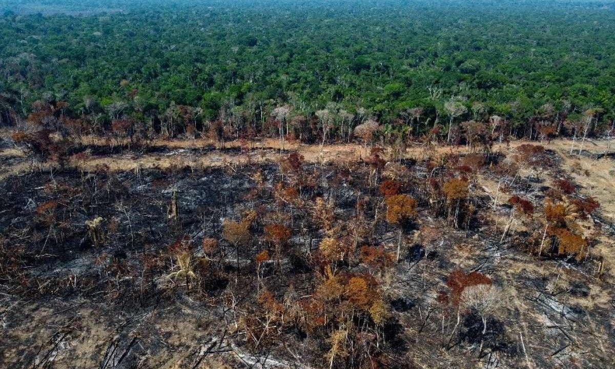 Área desmatada e queimada é vista em um trecho da BR-230 (Rodovia Transamazônica) em Humaitá, estado do Amazonas       -  (crédito: MICHAEL DANTAS / AFP)