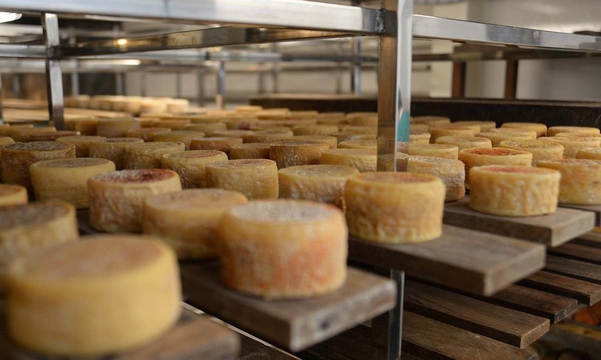 De AraxÃ¡ para BH: a loja da Queijaria Senzala, onde os queijos sÃ£o maturados, funciona como uma extensÃ£o da produÃ§Ã£o na fazenda.