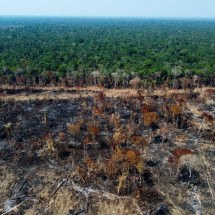 Amazônia Legal registra quase 3.000 incêndios, um recorde para o mês de fevereiro - MICHAEL DANTAS / AFP