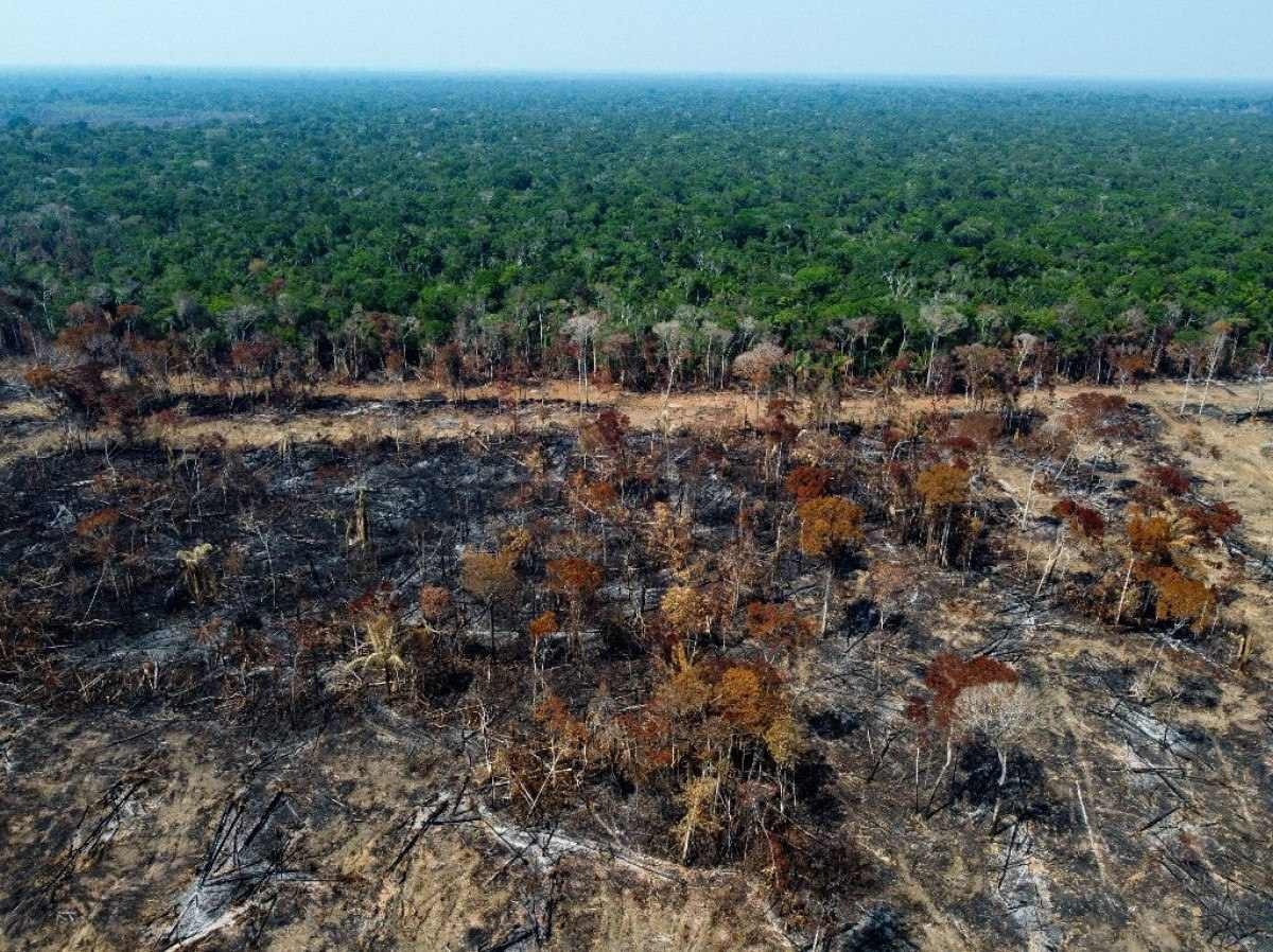 Amazônia Legal registra quase 3.000 incêndios, um recorde para o mês de fevereiro