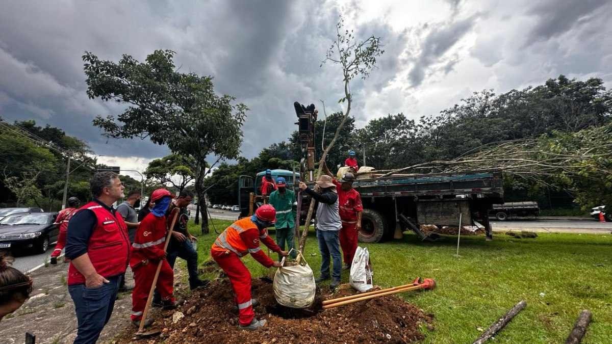 Stock Car: BH começa plantio de árvores no entorno do Mineirão 