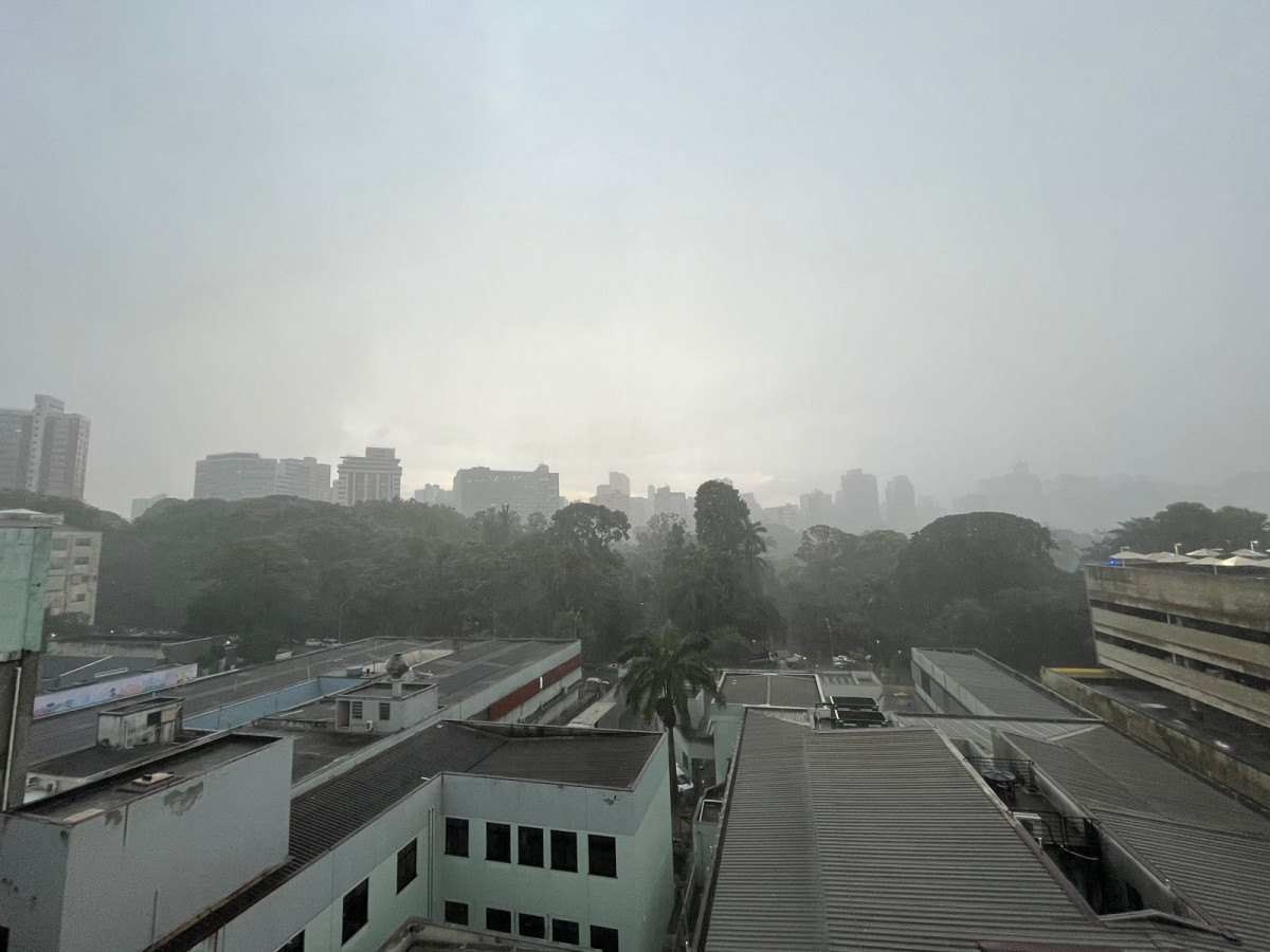 Chuva forte atinge BH na tarde desta sexta (1/3); Defesa Civil faz alerta