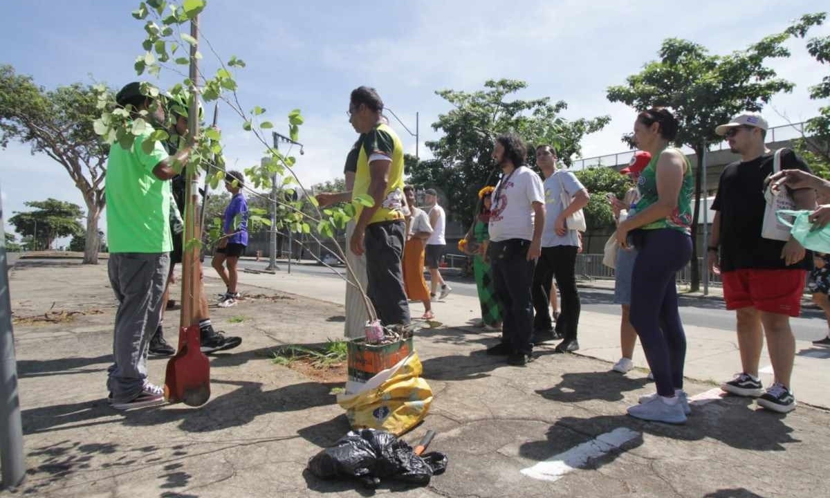 manifestantes plantam [mudas de árvores no entron do Mineirão