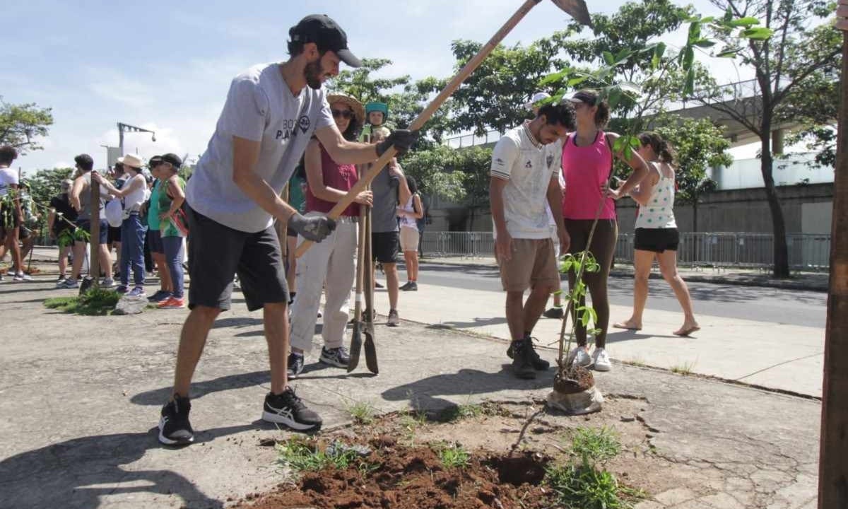 Manifestantes plantaram árvores no entorno do Mineirão  -  (crédito: Edésio Ferreira/ EM/ D.A. Press)