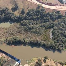Desmatamento na Ilha do Caixão gera R$ 260 mil em compensação em Minas - Divulgação/MPMG
