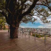 Passeios turísticos gratuitos revelam uma Belo Horizonte pouco conhecida - Qu4rto Studio/Divulgação