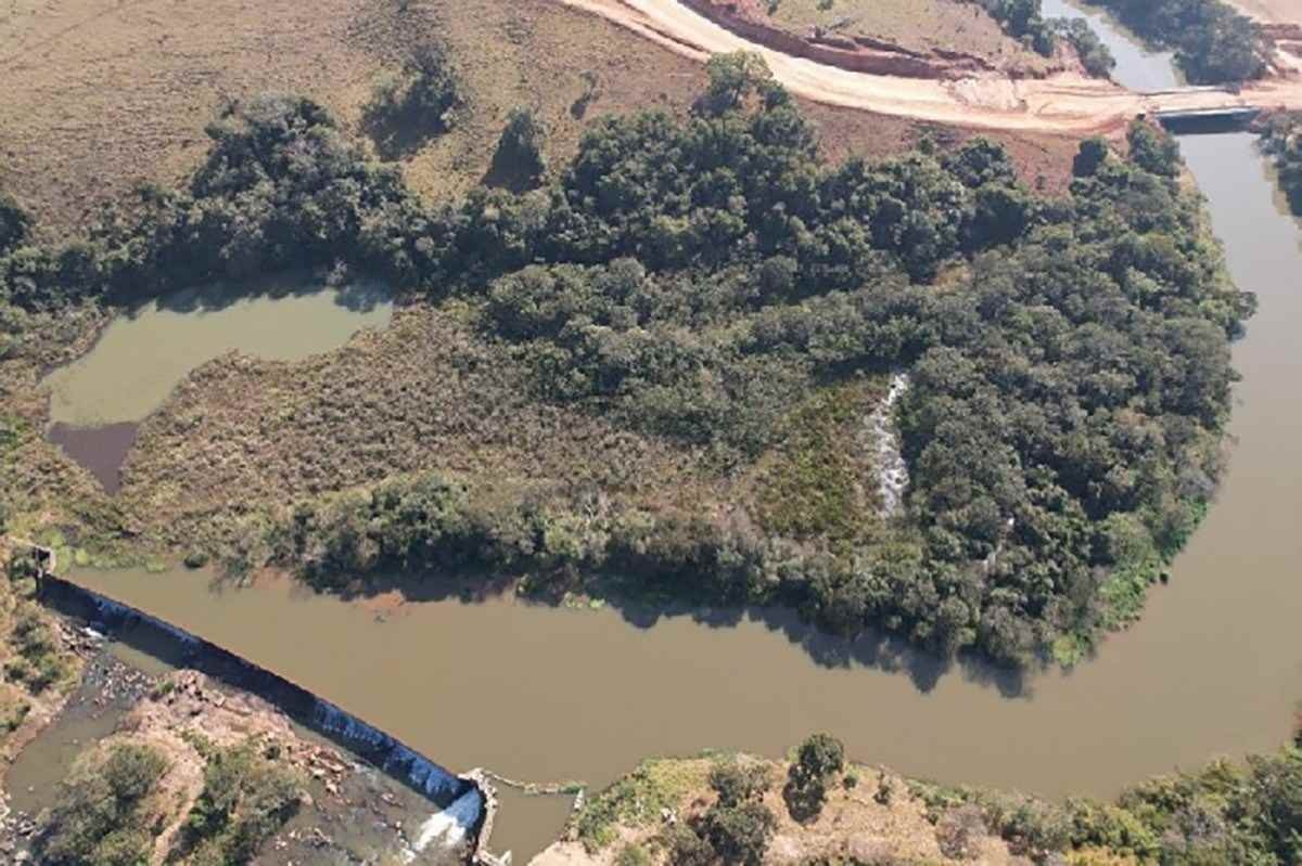 Desmatamento na Ilha do Caixão gera R$ 260 mil em compensação em Minas