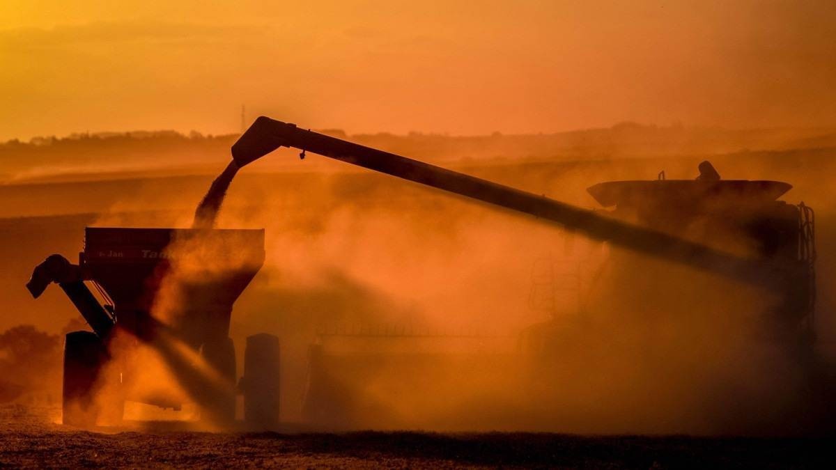 O pessimismo a respeito da produção brasileira de soja na safra 2023/2024 começa a ficar para trás