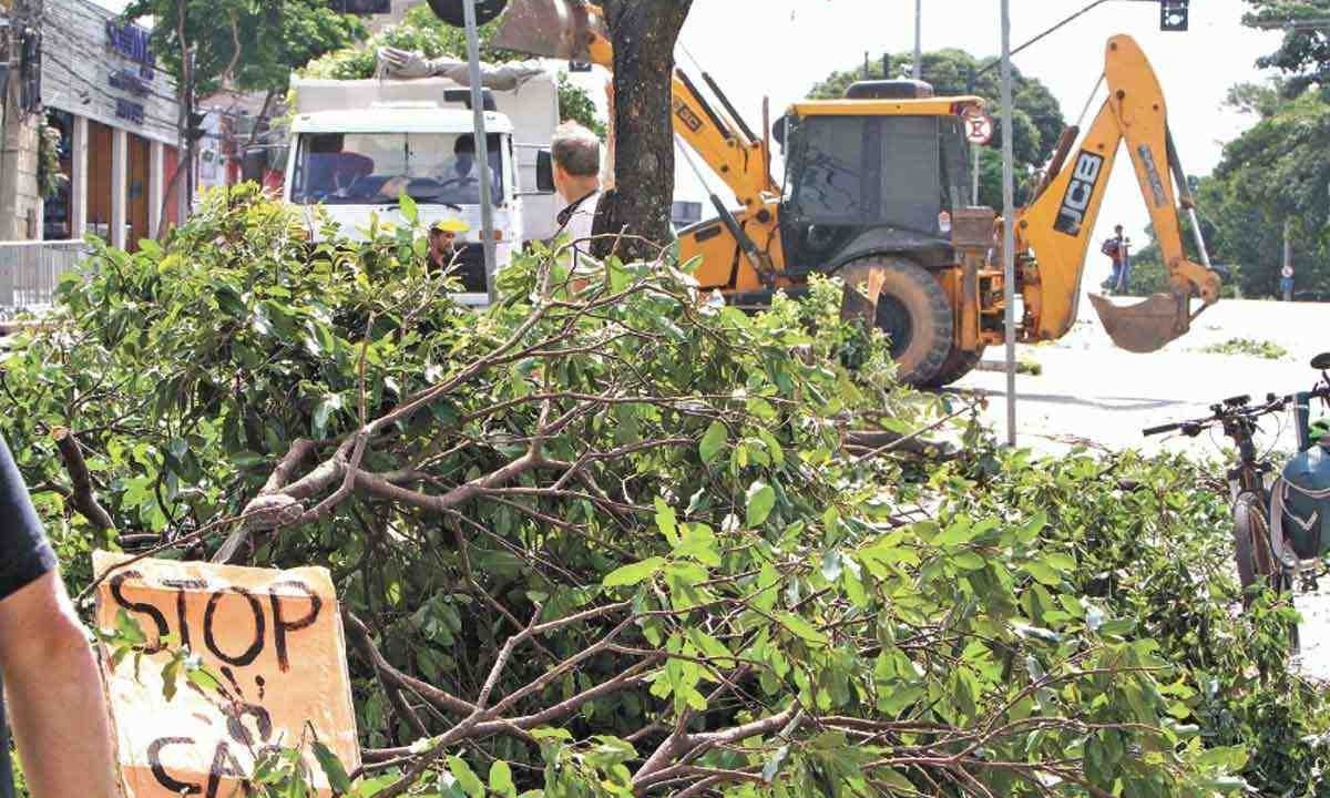 Prefeitura corta árvores no entorno do Mineirão para circuito de rua da Stock Car -  (crédito: Edésio Ferreira/EM/D.A. Press)