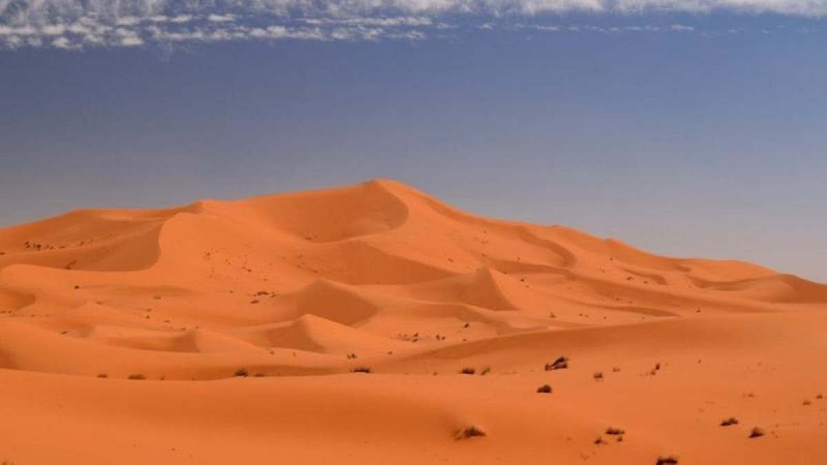 A duna estelar Lala Lallia, no Marrocos, tem 100 metros de altura -  (crédito: C BRISTOW)