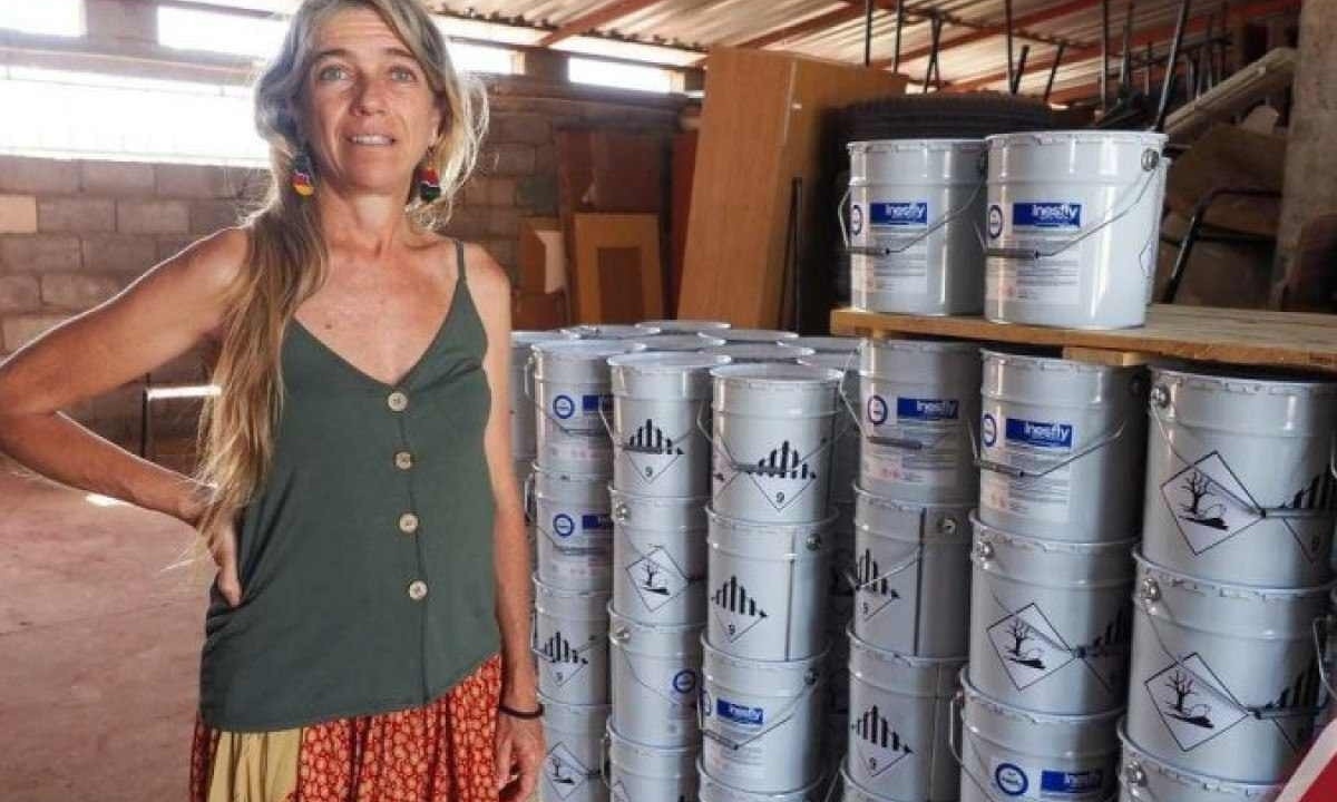 Lara Ferrero Gómez, líder da pesquisa, posa ao lado das latas de tinta, que poderão ser utilizadas também no combate à malária  -  (crédito: Gabinete de Comunicação e Informação da Universidade Jean Piaget de Cabo Verde)