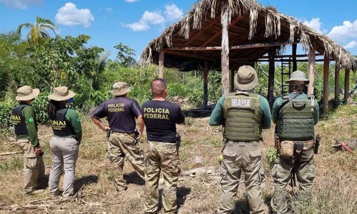 Fiscais da Funai e agentes da Polícia Federal em missão em área de mata -  (crédito: Divulgação/Governo Federal)