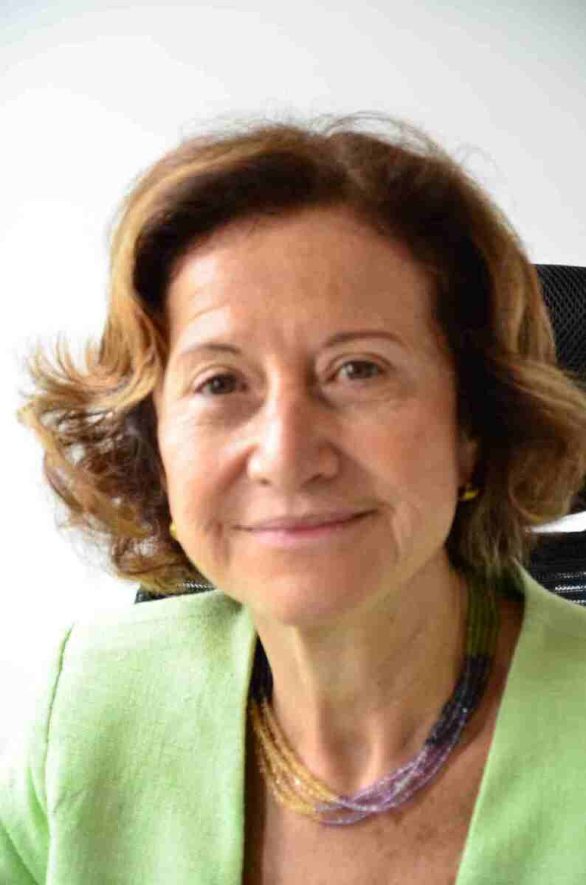 Eliete Bouskela: A primeira mulher a presidir a Academia Nacional de Medicina