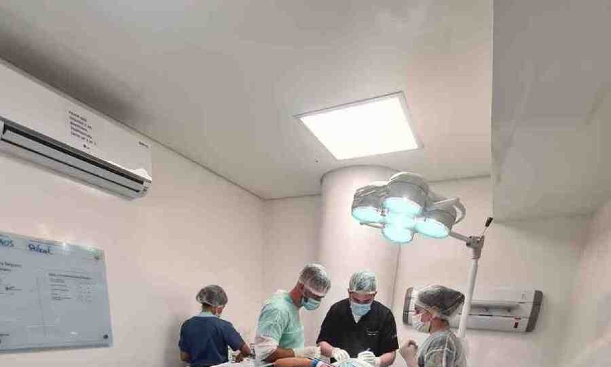 O mutirão é realizado uma ou duas vezes por mês, proporcionando aos alunos a oportunidade de aprender técnicas cirúrgicas enquanto prestam um serviço essencial à população -  (crédito: Divulgação)