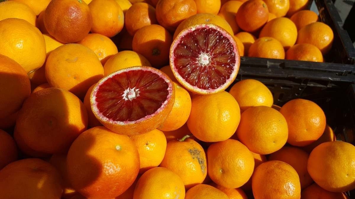 Estoque de suco é o segundo mais baixo em 13 anos e pressiona oferta de laranja
