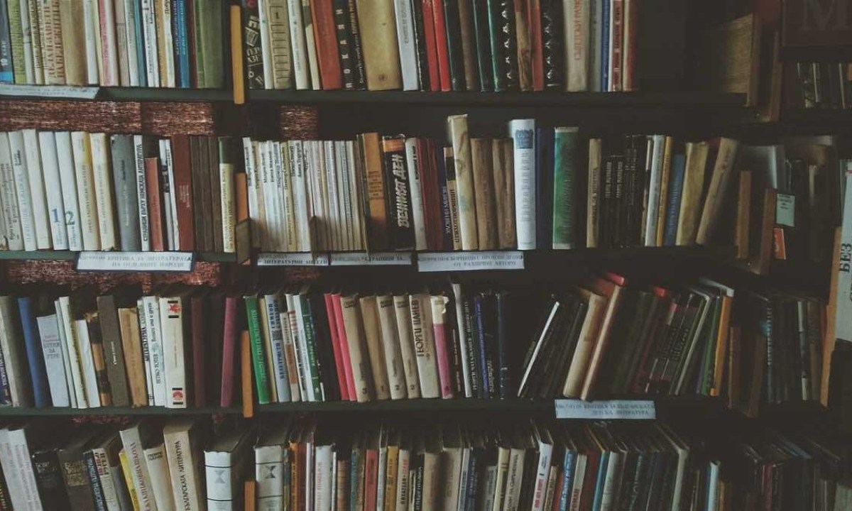 Biblioteca -  (crédito: Pixabay/Reprodução)
