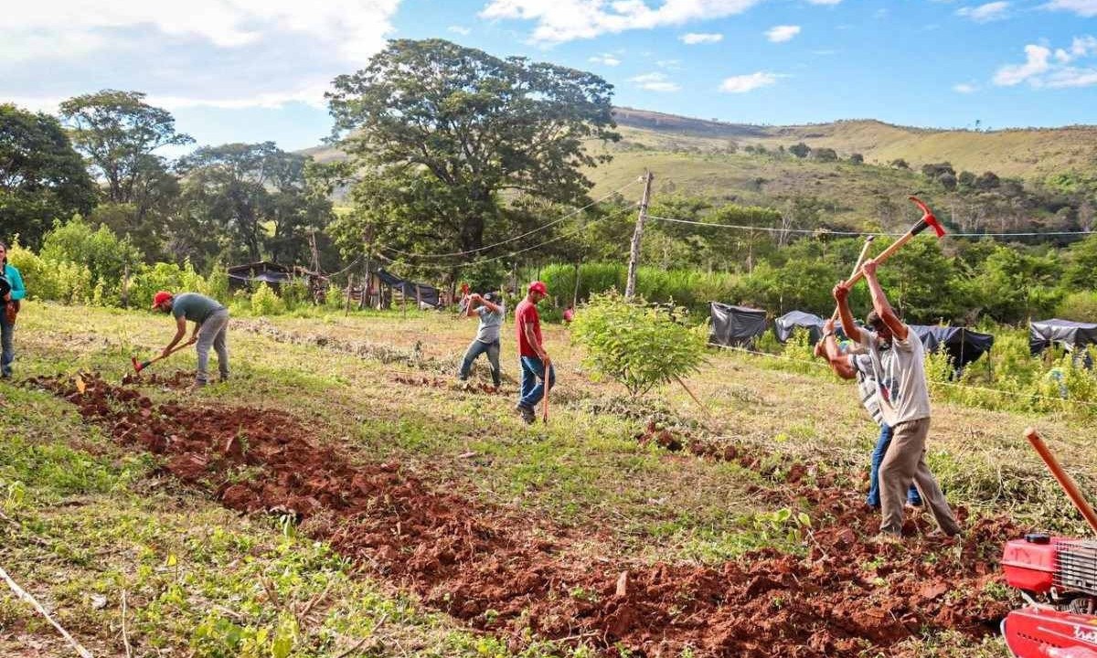 Trabalhadores preparam a terra na Fazenda Aroeiras, ocupada na última sexta-feira (8/3) -  (crédito: Matheus Teixeira/MST)