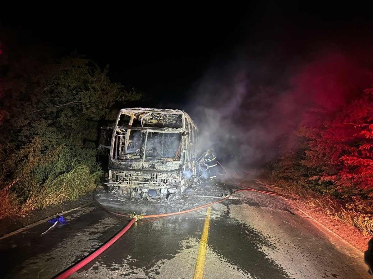 Ônibus com 19 passageiros fica destruído em incêndio em rodovia de Minas