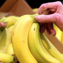 'Preço de banana'? Clima mais quente deve deixar fruta mais cara - Getty Images