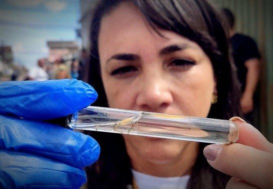 Ed Alves/CB/DA Press