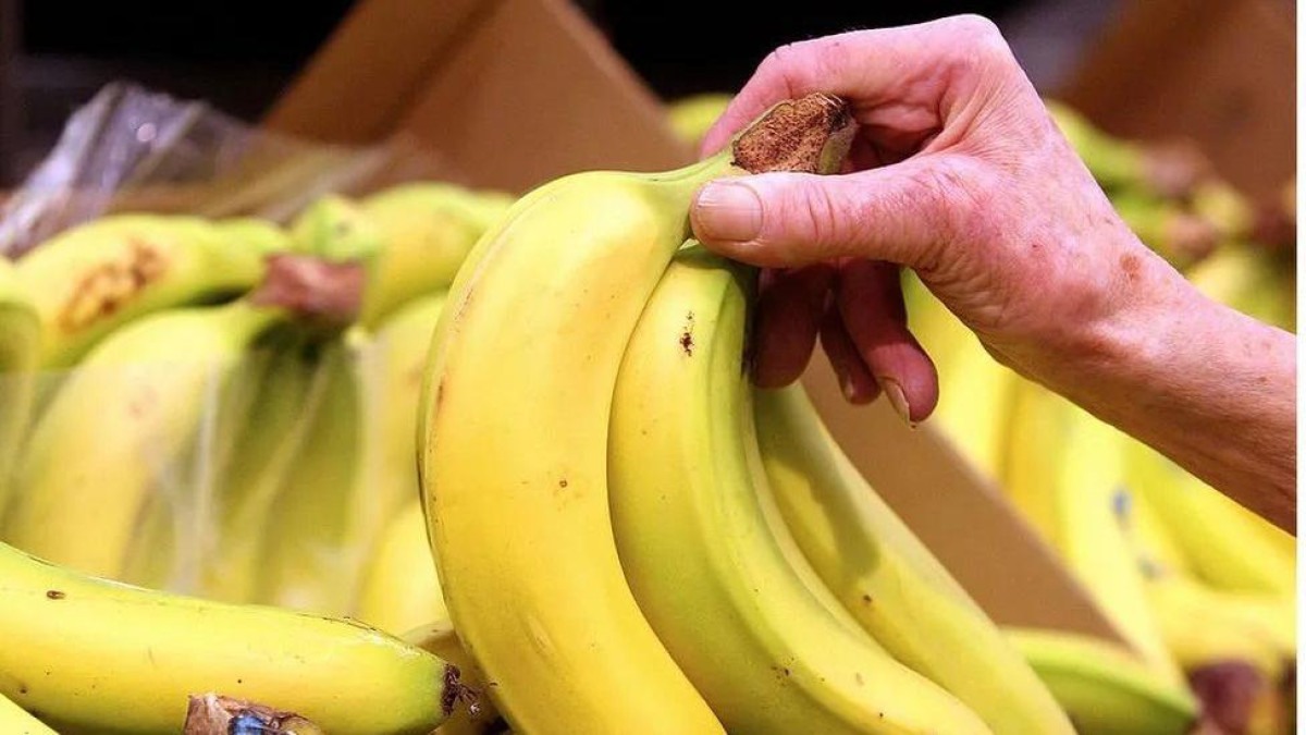 'Preço de banana'? Clima mais quente deve deixar fruta mais cara