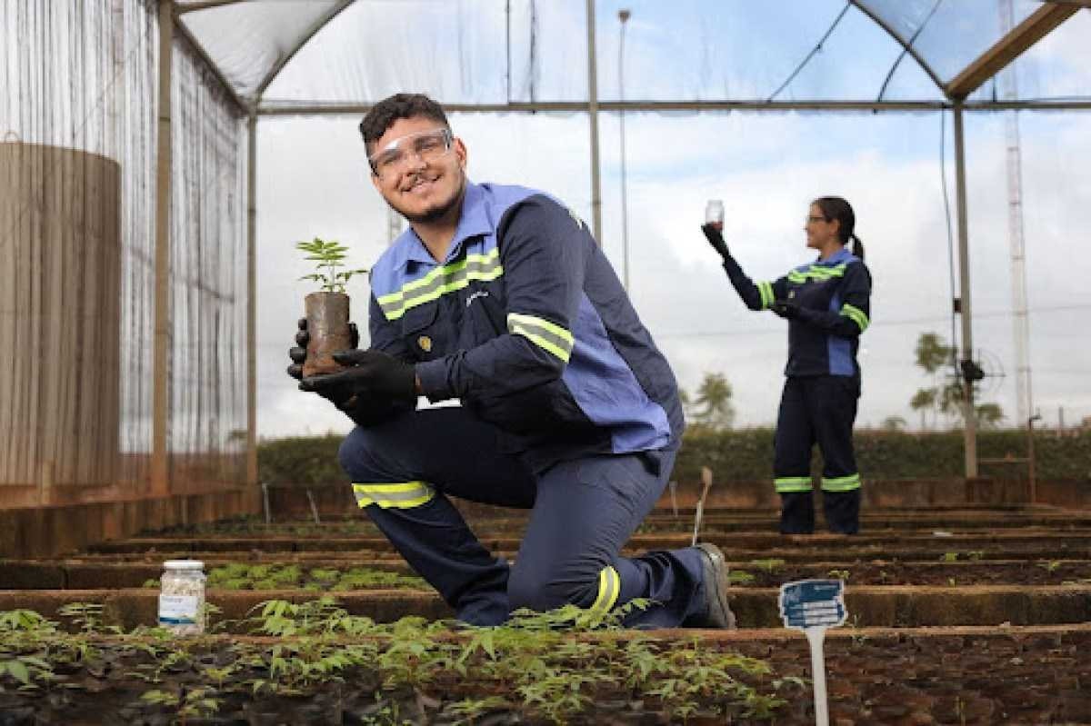 Colaborador da EuroChem segurando uma muda de planta em uma horta