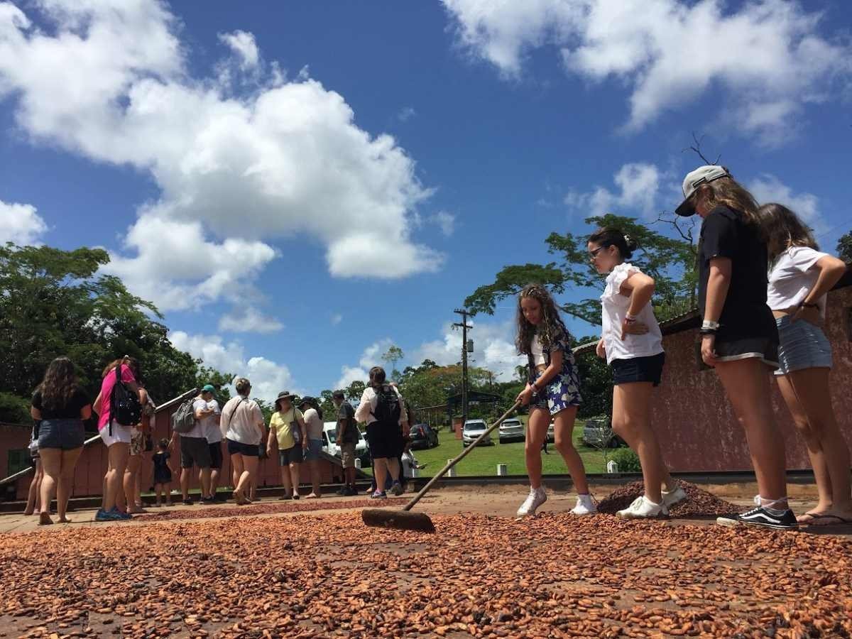 Na fazenda Yrerê, em Ilhéus, os visitantes participam do processo de secagem da amêndoa do cacau e degustação do chocolate produzido no loca