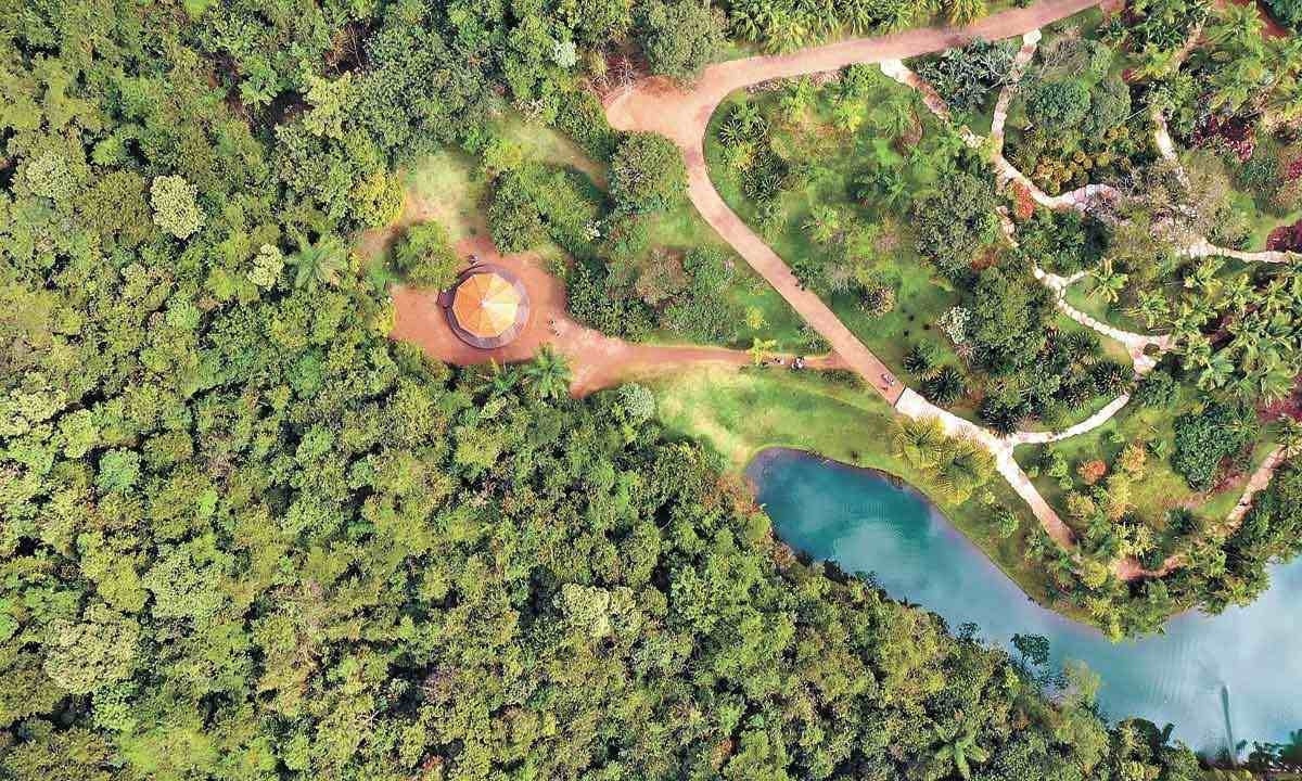 Vista aérea da Galeria Valeska Soares, em Inhotim. Instituto de Brumadinho estende sua parceria com os Estados Unidos para além do acervo de arte contemporânea -  (crédito: Brendon Campos/Divulgação)