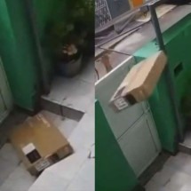 Entregador arremessa caixa com TV por cima de portão e danifica aparelho; vídeo - Reprodução/Redes sociais