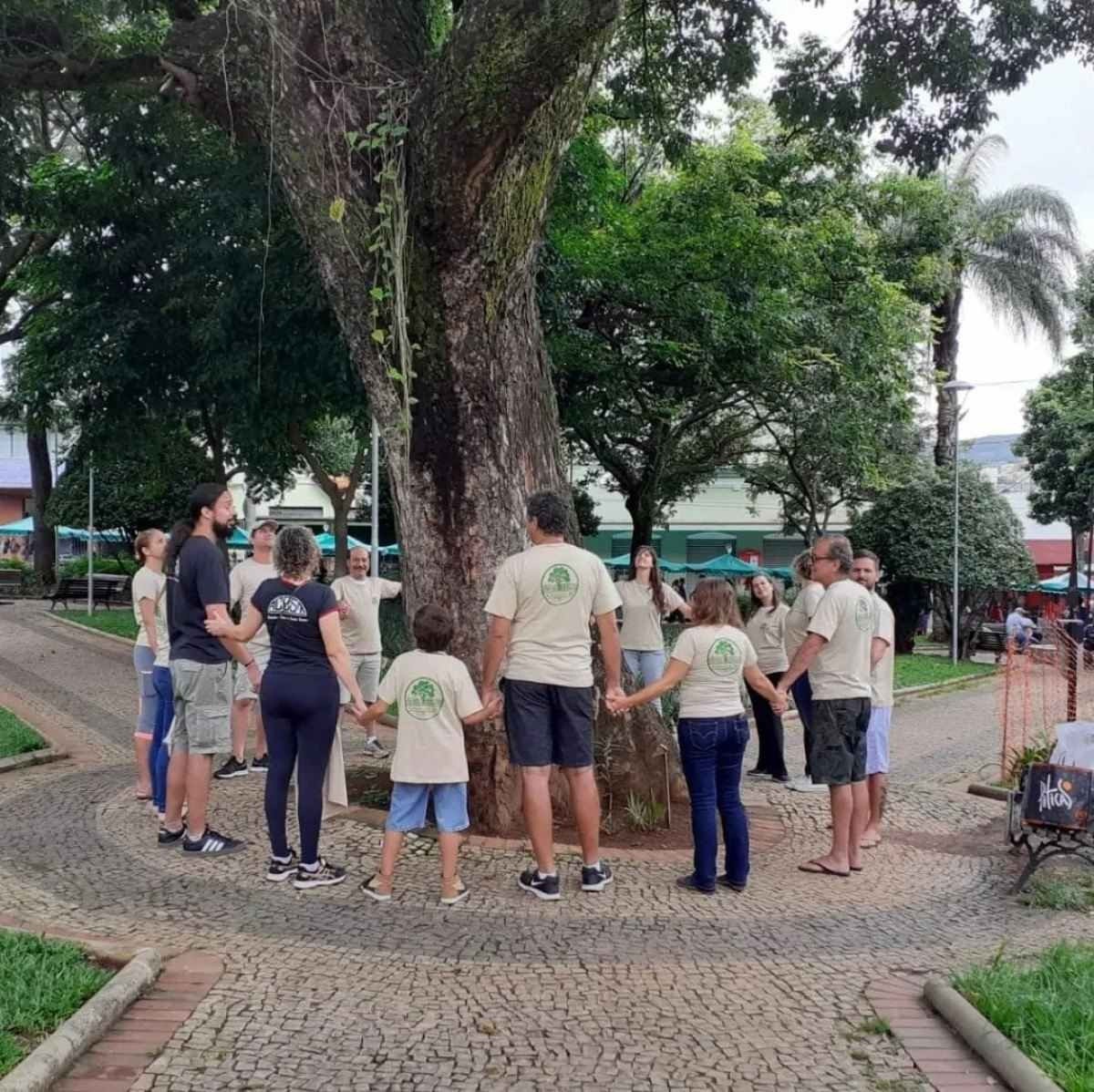 Ativistas fazem vaquinha para plantio de árvores em BH