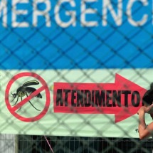 Dengue: país supera os 2 milhões de casos -  Luis Nova/CB