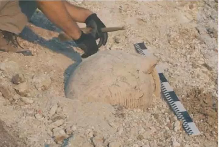 Arqueólogos encontram indícios de cemitério da Idade da Pedra - Reprodução de vídeo/Newsweek