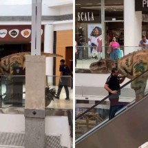 Homem encontra ‘dinossauro’ em escada rolante de shopping - Reprodução / Redes sociais
