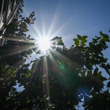 Previsão do tempo: como ficam as temperaturas em Minas no último dia do verão? - Leandro Couri/EM/D.A Press