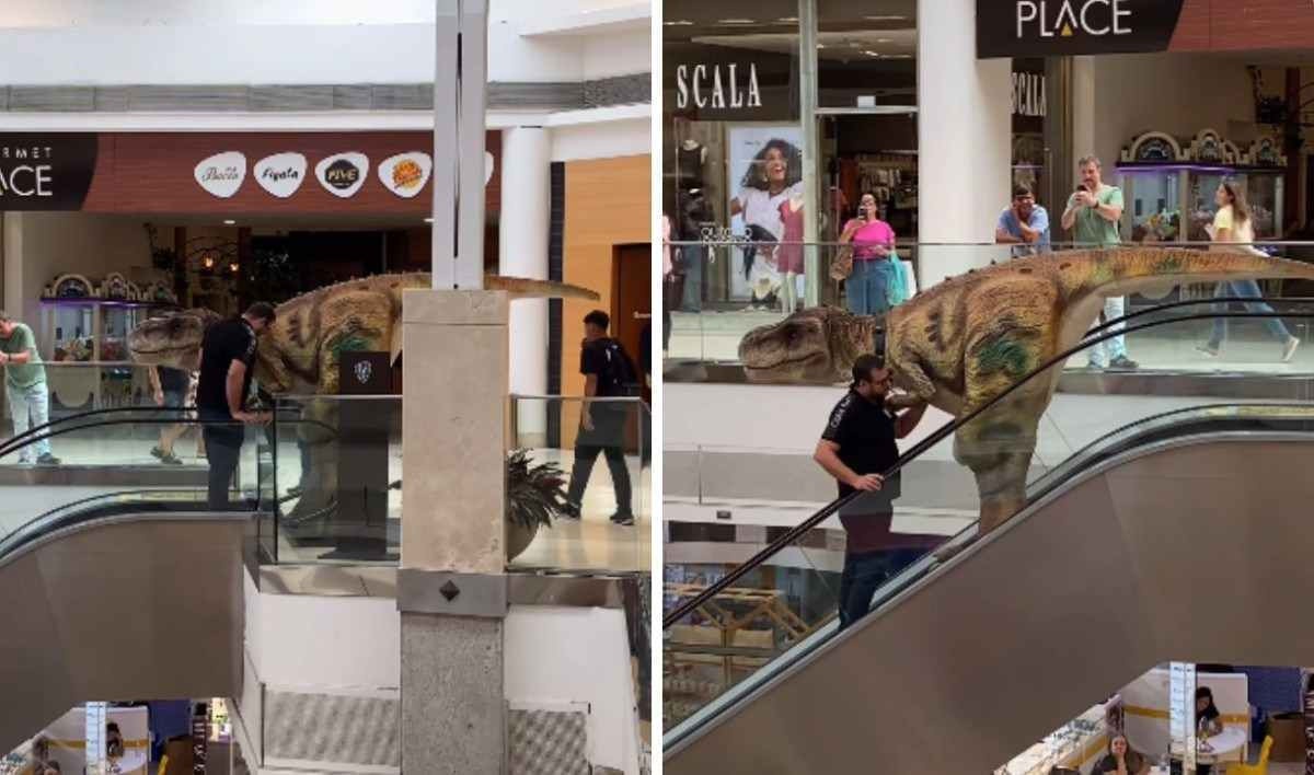 Homem encontra ‘dinossauro’ em escada rolante de shopping
