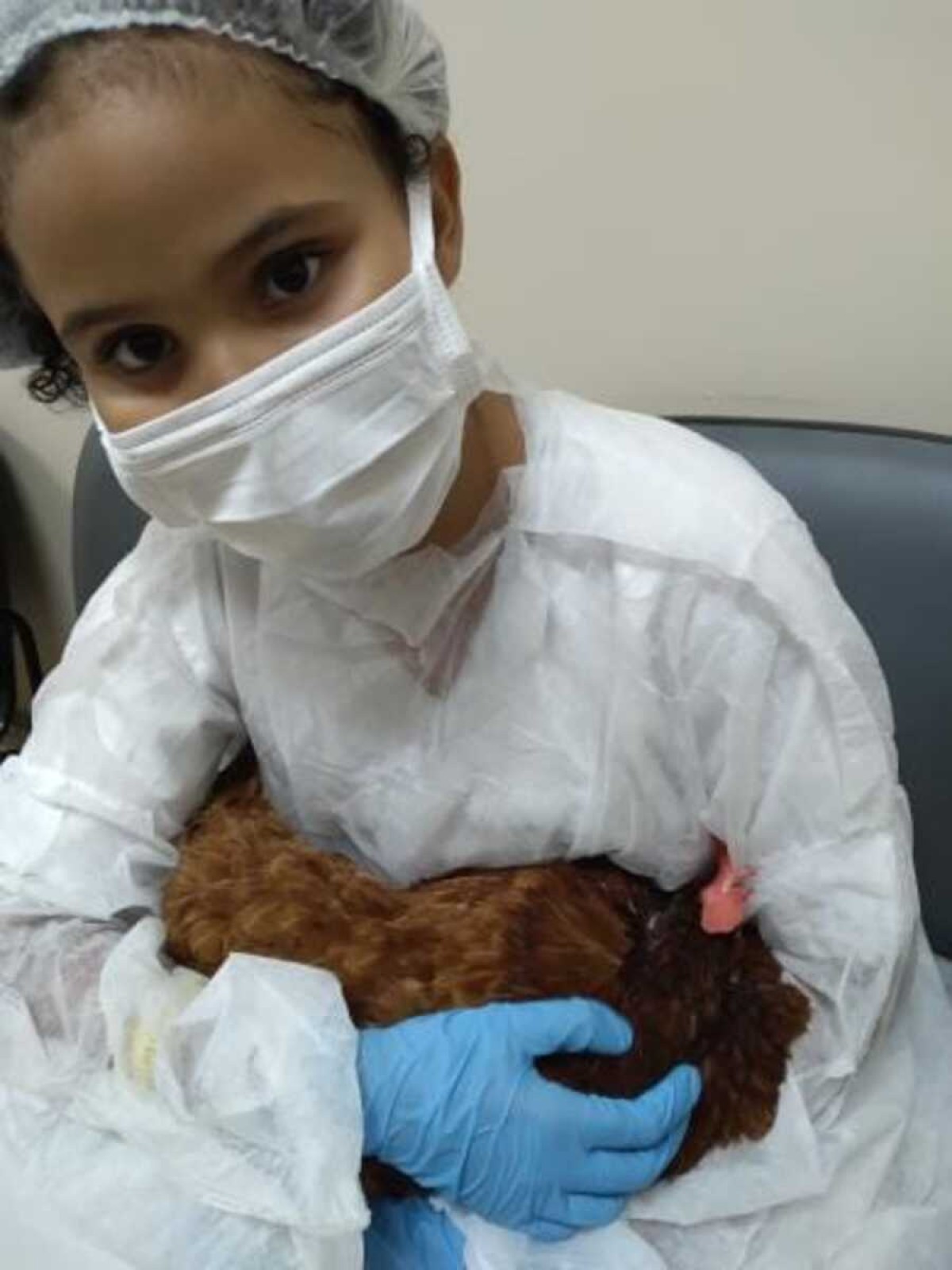 Criança internada em BH recebe visita de galinha de estimação