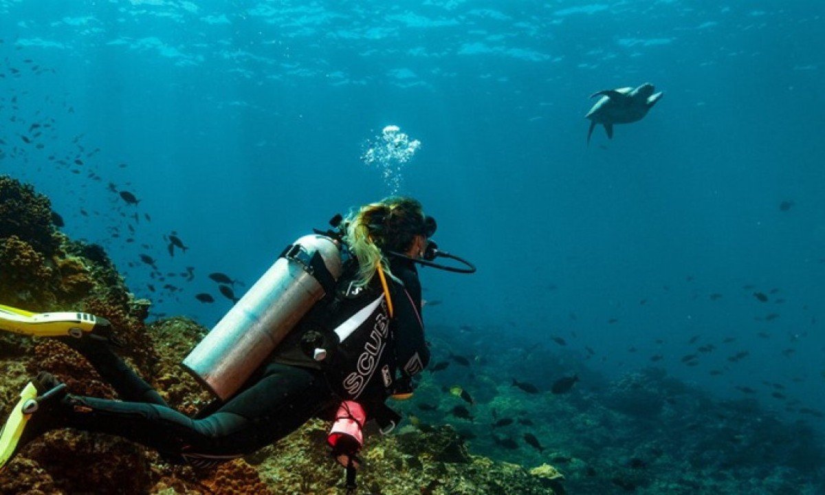 Pesca, mergulho e surfe: Panamá oferece aventuras aquáticas para quem gosta de fugir do óbvio -  (crédito: Uai Turismo)