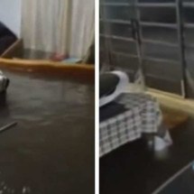 Contagem: vídeo mostra desespero de moradores com enchente - Redes Sociais