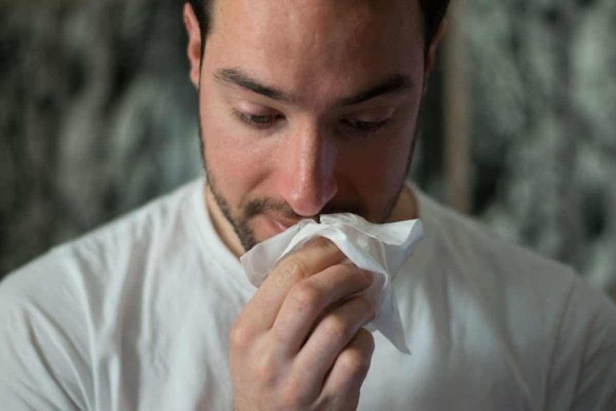 Início do outono: aumento de alergias e doenças respiratórias