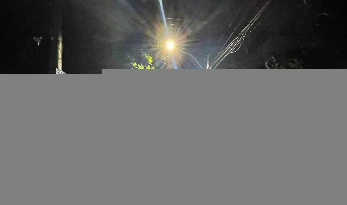 Porto Alegre sofreu com a queda de diversas árvores e bairros ficaram sem energia elétrica -  (crédito: Prefeitura de Porto Alegre/Divulgação)