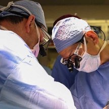 Brasileiro lidera primeiro transplante de rim de um porco em um paciente humano vivo - Massachusetts General Hospital/ reprodução