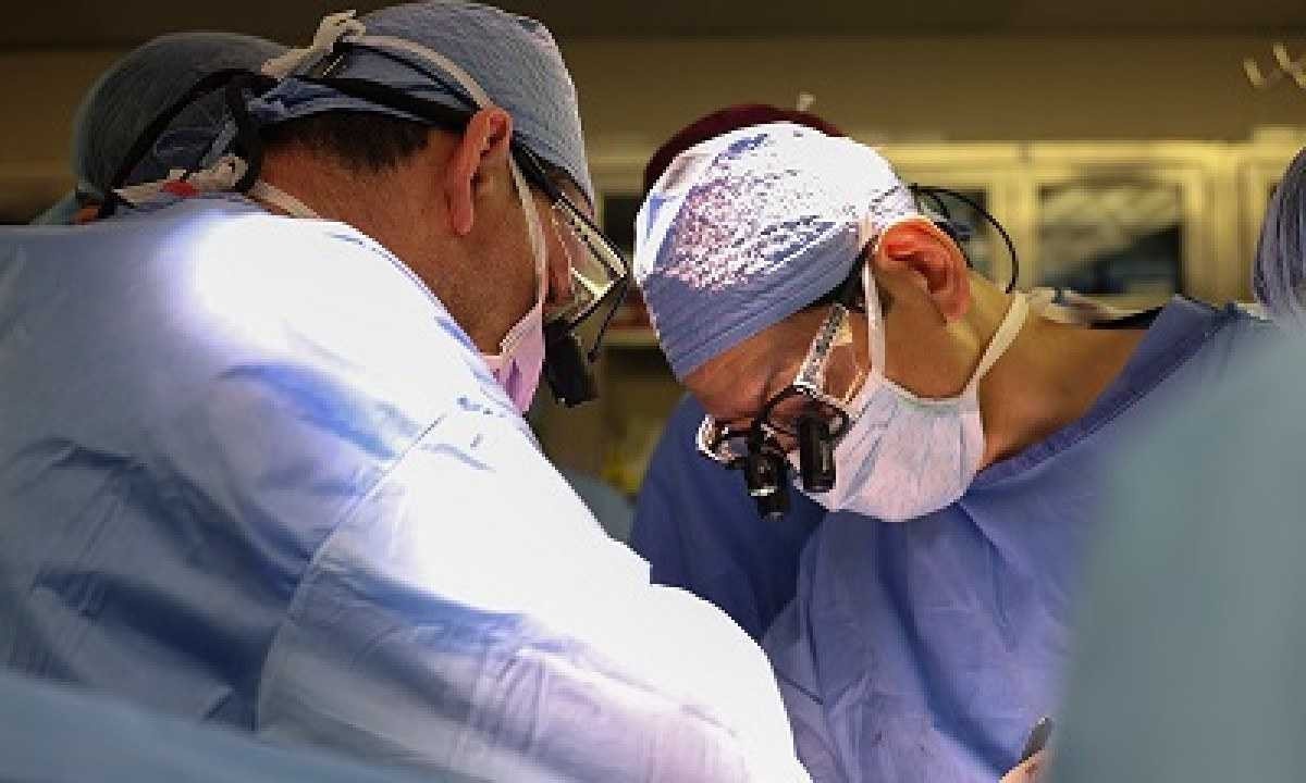 Brasileiro lidera primeiro transplante de rim de um porco em um paciente humano vivo