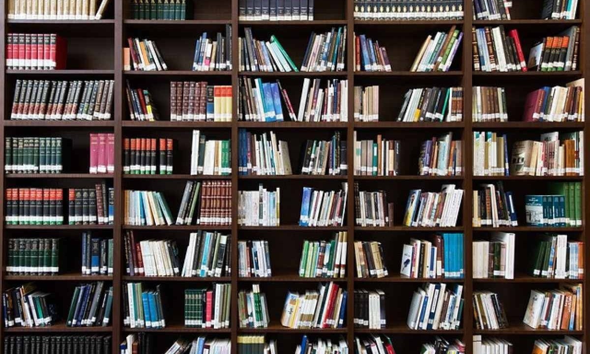 Biblioteca -  (crédito: Pixabay/Reprodução)