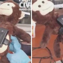 Polícia flagra macaco de pelúcia usando tornozeleira eletrônica - Polícia Civil