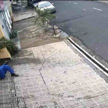 Gari se deita para descansar em calçada e é atropelado; veja o vídeo - Reprodução/Redes sociais