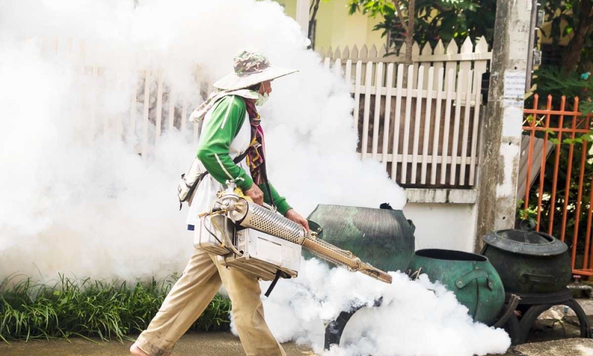 Fumacê pode ser prejudicial à saúde, ainda que seja uma das armas contra o mosquita Aedes aegypti, vetor de arboviroses -  (crédito: jcomp/Freepik)